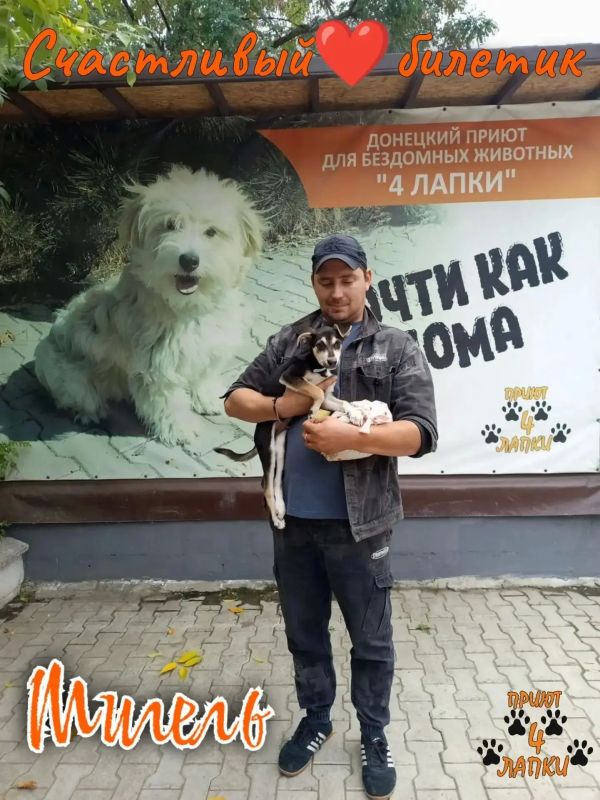 Благодаря нашей рубрике «Возьми питомца из приюта» за лето свой дом нашли 12 питомцев