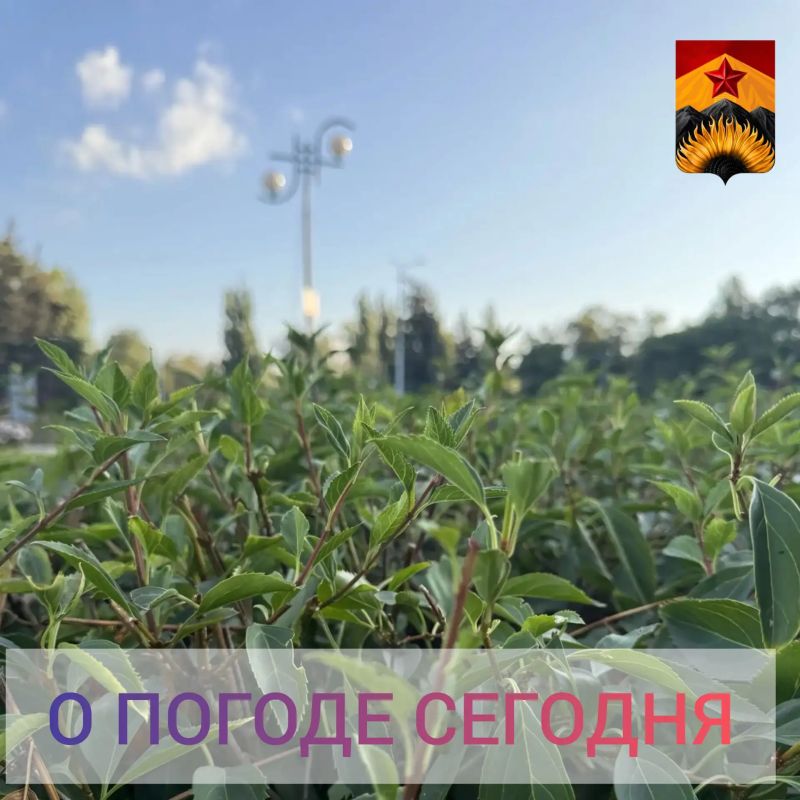 Александр Шатов: Гидрометцентр сообщил о погоде в Шахтерском округе