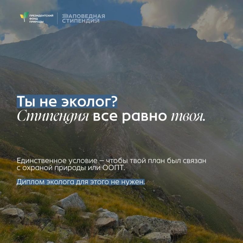Кажется, мы нашли неплохую подработку для студентов