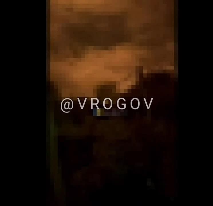 Владимир Рогов: В Подмосковье убиты два человека, ещё девять ранены