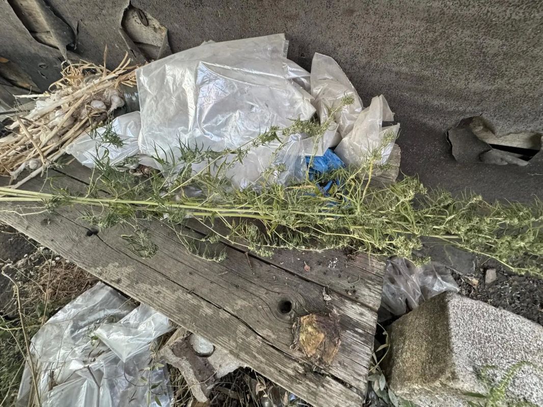 Полицейские изъяли наркотики у жителя Волновахи