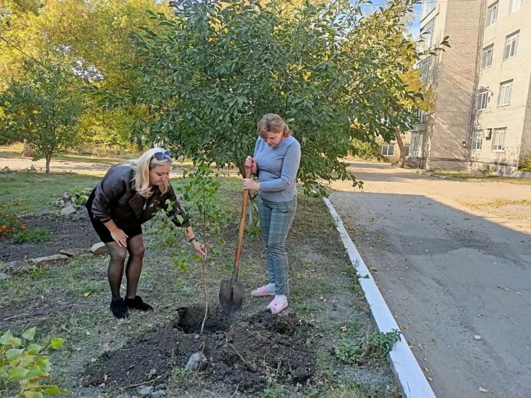 Сегодня, 7 октября 2026 года, свой день рождения отмечает Владимир Владимирович Путин – Президент Российской Федерации