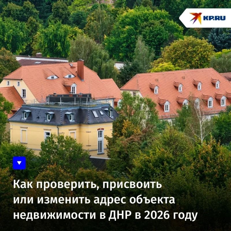 Как проверить, присвоить или изменить адрес объекта недвижимости в ДНР в 2026 году