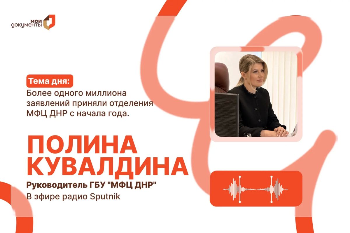 С начала года отделения МФЦ ДНР приняли более 1 миллиона заявлений