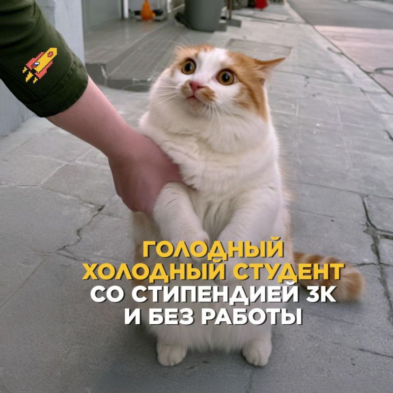 Стипендия 3К — это, конечно, мило