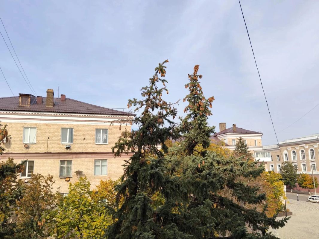 Игорь Лызов: В Амвросиевке обновляется центральная улица города – улица Ленина