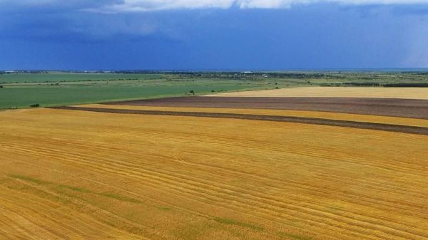Новые регионы смогут воспользоваться господдержкой агрострахования