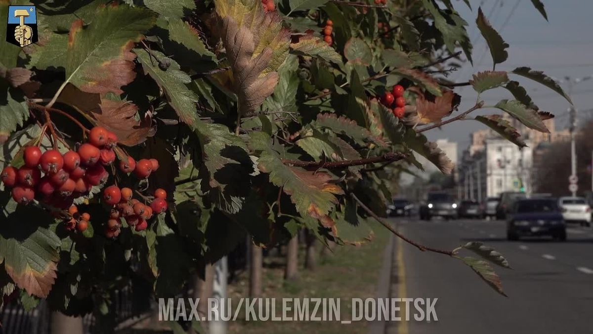Алексей Кулемзин: Совместно с главой муниципального образования городской округ Иловайск Александром Кузнецовым начали работу в рамках Проекта ВАРМСУ «Муниципальный наставник»