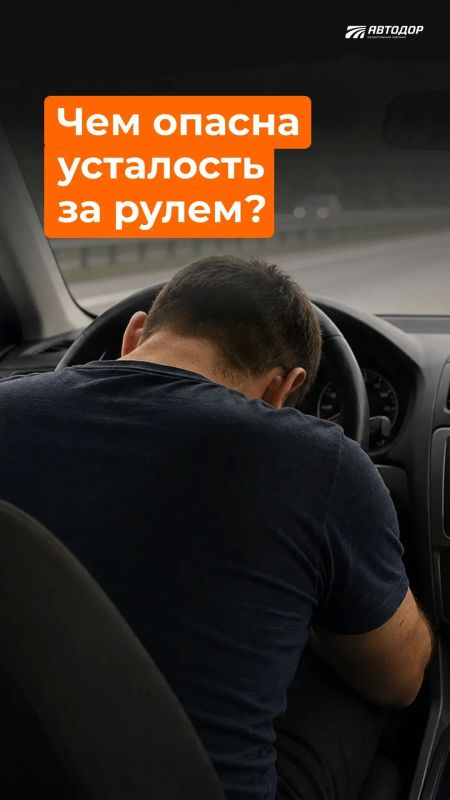 Отдых перед поездкой — не прихоть, а условие безопасности водителя и пассажиров!