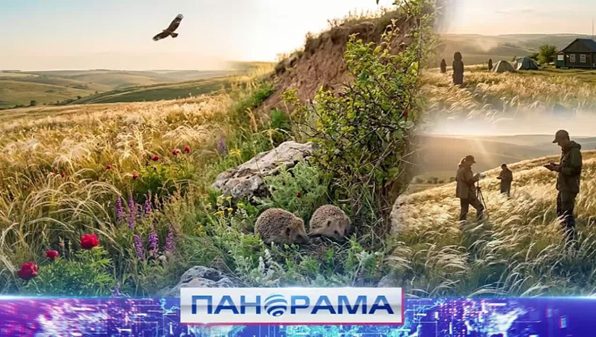 Секреты степного мира: как сохранить уникальную природу Донбасса?