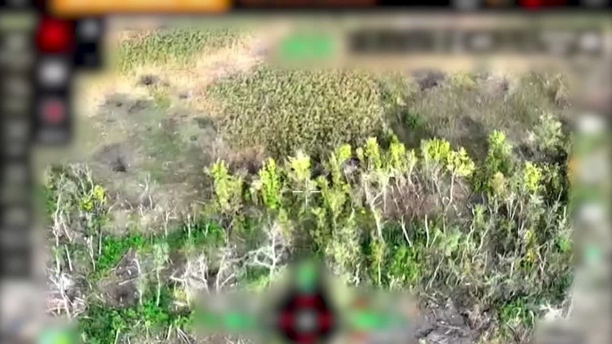 Александр Коц: Кадры боев за Доброполье Город брали 110-я гвардейская мотострелковая бригада 51-й армии, 61-я бригада морской пехоты Северного флота и 177-й полк морпехов Каспийской флотилии