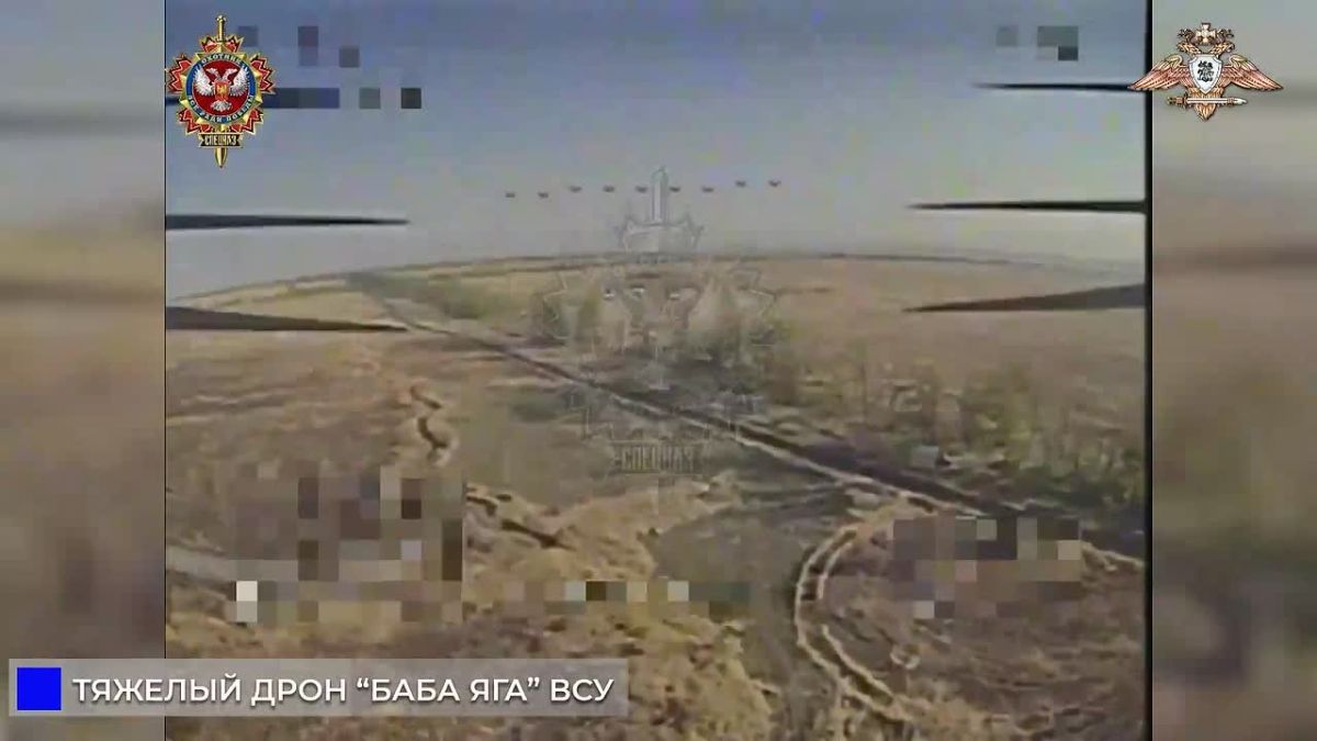 «Охотник» уничтожил два БЛА «Баба Яга» ВСУ