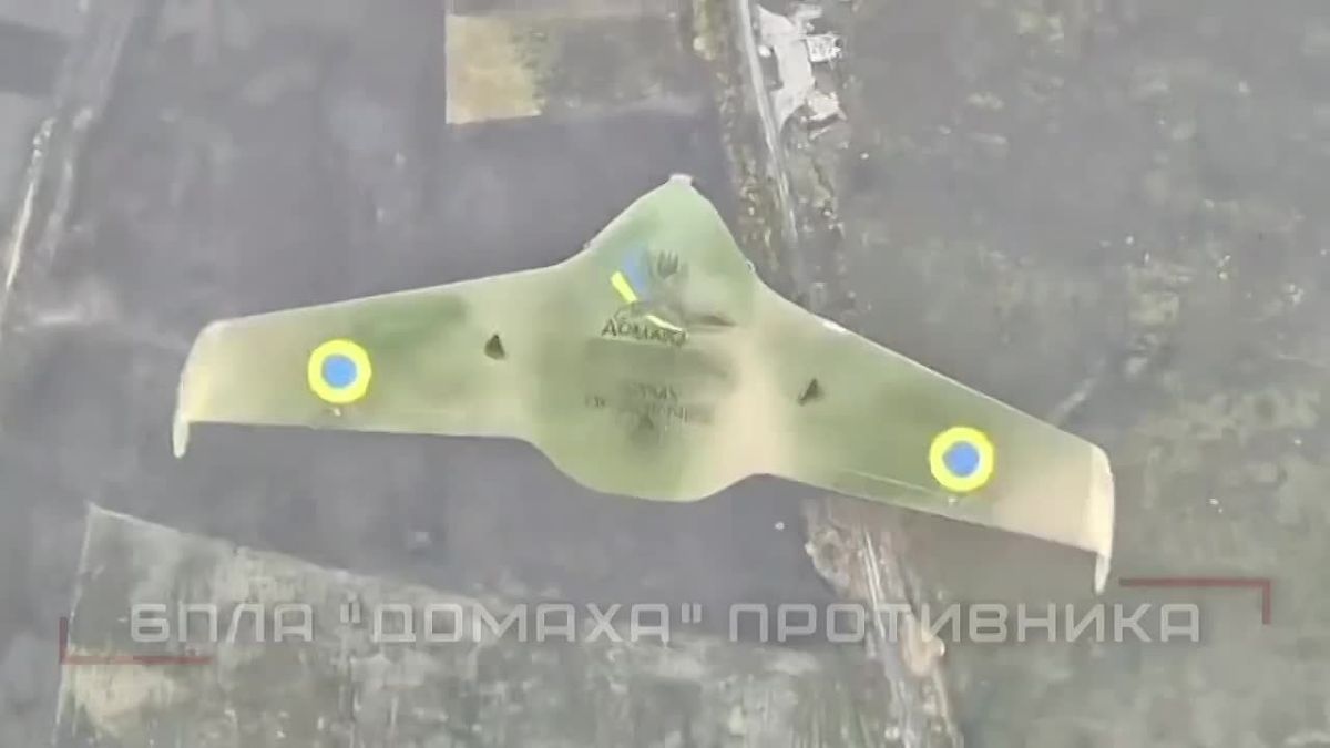 Группировка ЦЕНТР громит технику и пехоту врага в боях за Покровском, Мирноградом и в Днепропетровской области