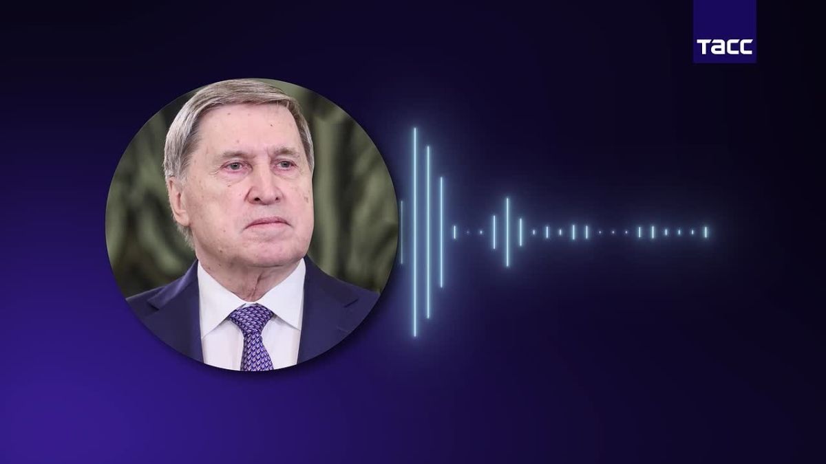 Встреча Путина и Уиткоффа была обстоятельной и откровенной, продолжалась почти 3 часа