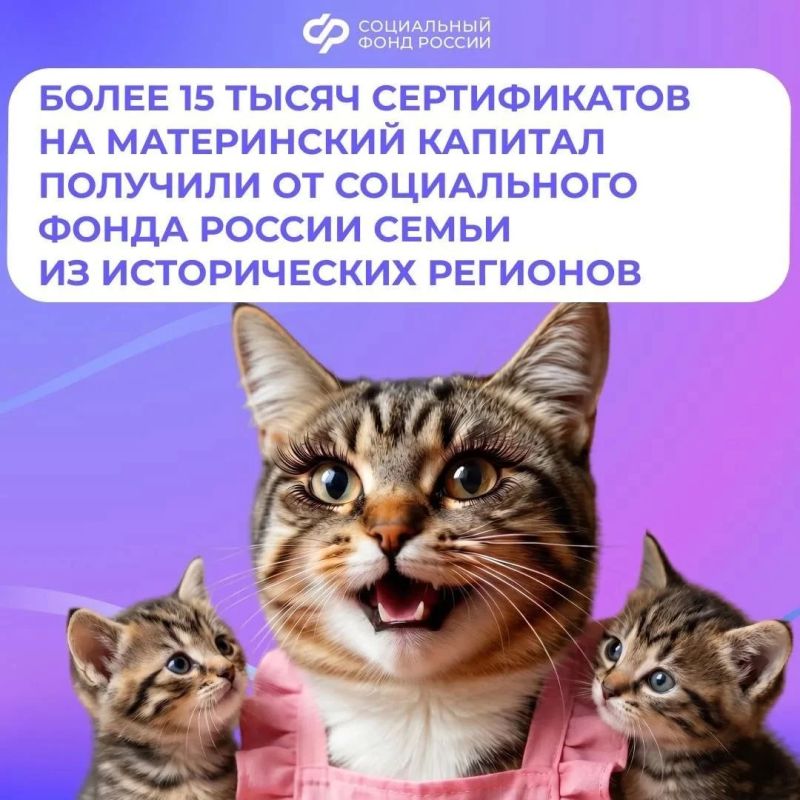 В этом году Соцфонд в Донбассе и Новороссии выдал семьям более 15 тысяч сертификатов на материнский капитал
