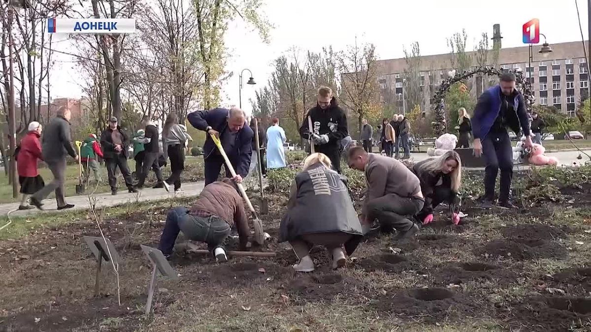 В Донецке высадили три тысячи роз