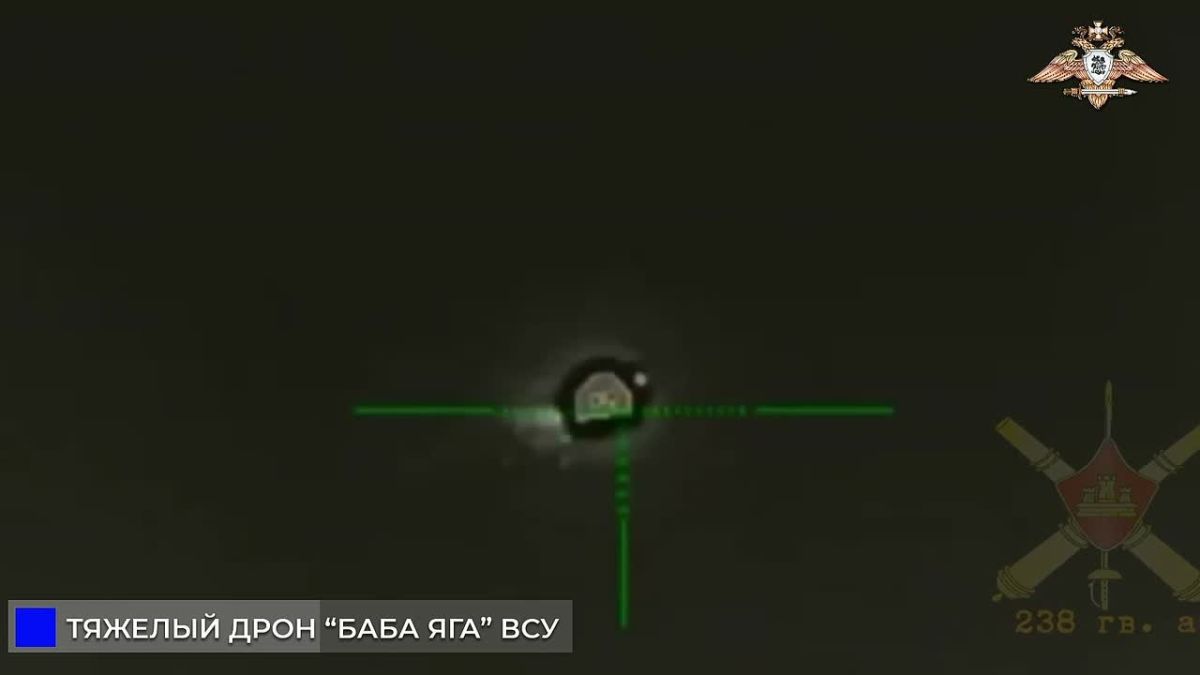 238 бригада уничтожила «Бабу Ягу» ВСУ снайперским огнем