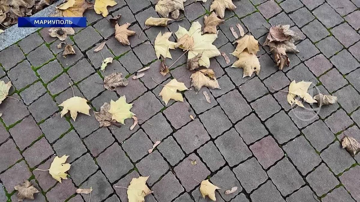 Петербург и Мариуполь: как работает программа «Города-побратимы»