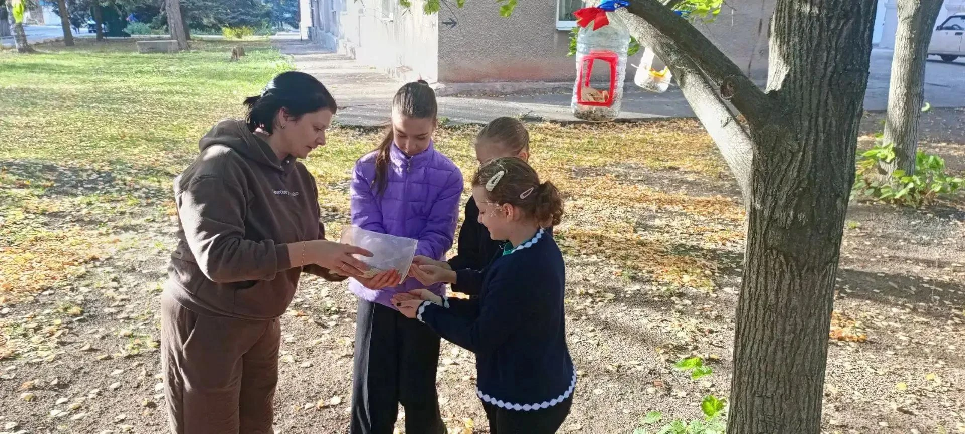 поможем пернатым пережить зиму!