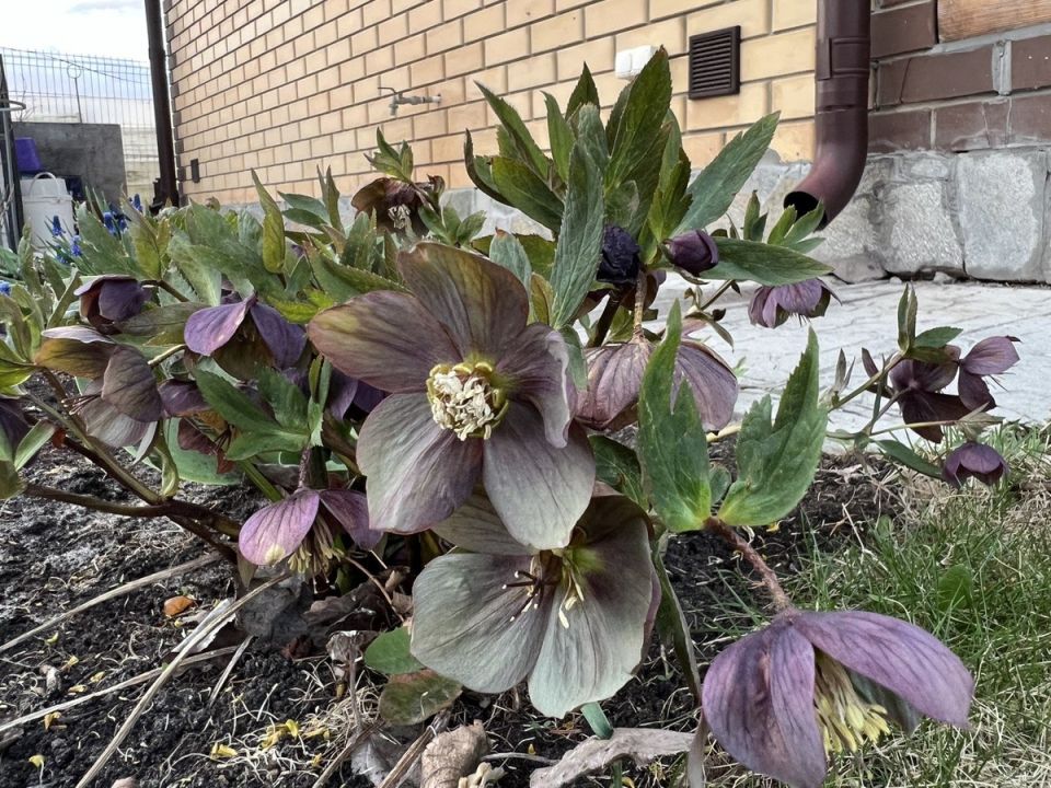 ��������: ��������� �������� � ����� ����